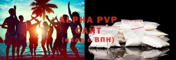 молекула духа Белоозёрский