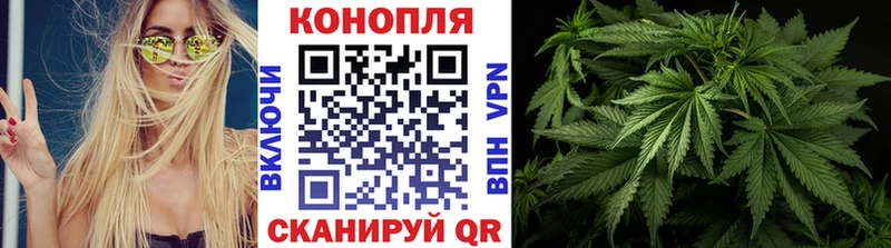 закладки  Торжок  Конопля Amnesia 